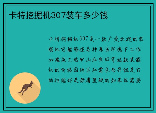 卡特挖掘机307装车多少钱